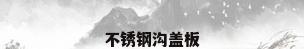 不锈钢沟盖板