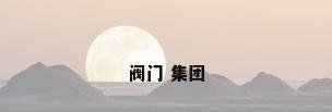 阀门 集团