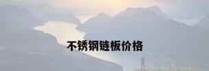 不锈钢链板价格
