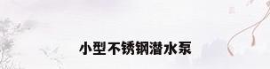 小型不锈钢潜水泵