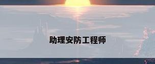 助理安防工程师