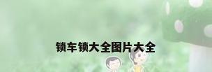 锁车锁大全图片大全