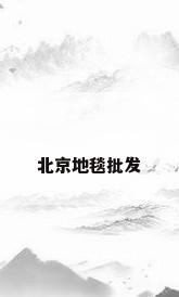 北京地毯批发