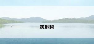灰地毯
