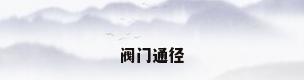 阀门通径