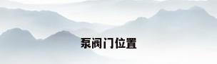 泵阀门位置