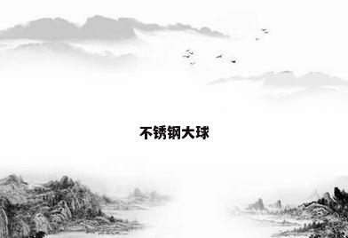 不锈钢大球