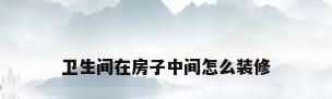 卫生间在房子中间怎么装修