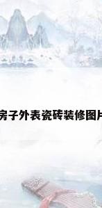 房子外表瓷砖装修图片