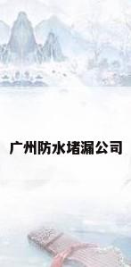 广州防水堵漏公司