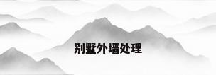 别墅外墙处理