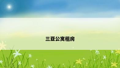 三亚公寓租房