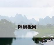 隔墙板网