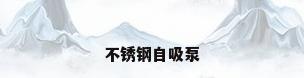 不锈钢自吸泵