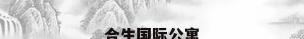 合生国际公寓