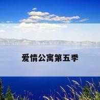 爱情公寓第五季