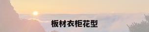 板材衣柜花型