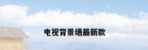电视背景墙最新款