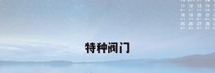 特种阀门