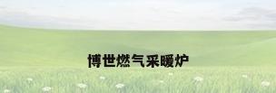 博世燃气采暖炉