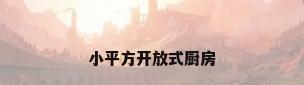 小平方开放式厨房