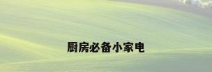 厨房必备小家电