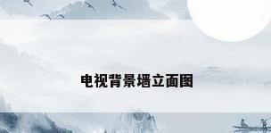 电视背景墙立面图