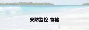 安防监控 存储