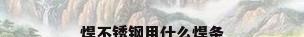 焊不锈钢用什么焊条