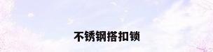 不锈钢搭扣锁