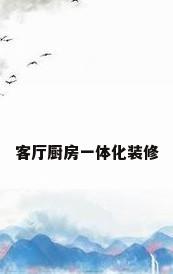 客厅厨房一体化装修
