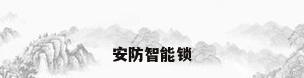 安防智能锁
