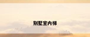 别墅室内梯
