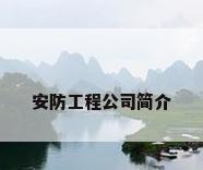 安防工程公司简介