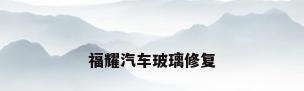 福耀汽车玻璃修复