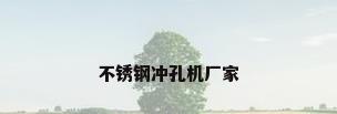 不锈钢冲孔机厂家