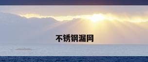 不锈钢漏网