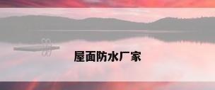 屋面防水厂家