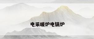 电采暖炉电锅炉
