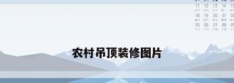 农村吊顶装修图片