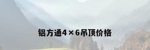 铝方通4×6吊顶价格