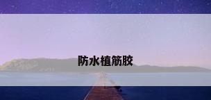 防水植筋胶