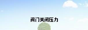 阀门关闭压力