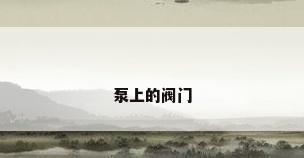 泵上的阀门
