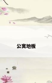 公寓地板