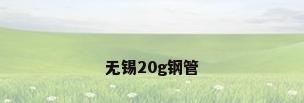 无锡20g钢管
