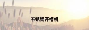 不锈钢开槽机