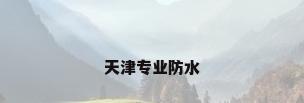 天津专业防水