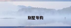 别墅导购