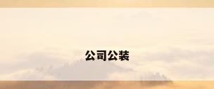 公司公装